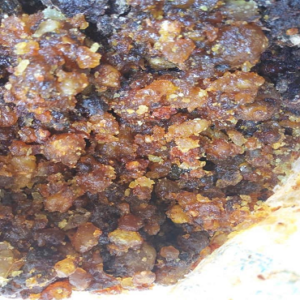 Commiphora/Black Hagar